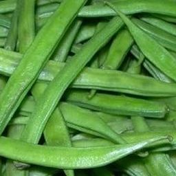 Cluster beans_Vegetable_Pack of 20 seeds-image-97