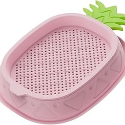 LOOM TREE® Cat Grass Planter Soilless Hydroponics Planting Tray for Garden Cat Supplies Pink | Pet Supplies | Cat Supplies | Cat Grass & Loose Catnip-52