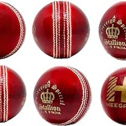 Heega Stallion Cricket Leather Ball (Red) (Pack of 1)-image-32
