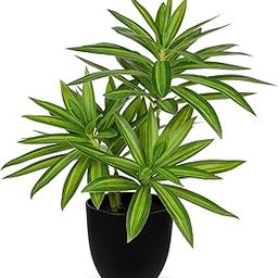 Dekorly Artificial Dracaena Plant, Decorative Fake Potted Plants, Artificial Plant Tropical Indoor Plant for Home, Bathroom, Kitchen, Decoration, Green | Height : 30CM | One Plant with Pot-picture-19