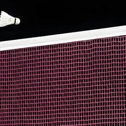 Sports Nets Badminton net for Outdoor Indoor Tournament net & Practice Net Size 20ft X 2.5ft (High Density Polyethylene (HDPE))-25