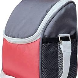 FOONTY Polyurethane Office Use Women Waterproof Lunch Bag/Tiffin Bag(Multicolor,Ffflb8004A), 5.5 Liter-image-113