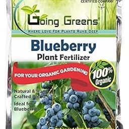 Going Greens Blueberry Fertilizer for Plants Home Garden I Blueberry Plant Growth Supplement (200 GMS)-image-35