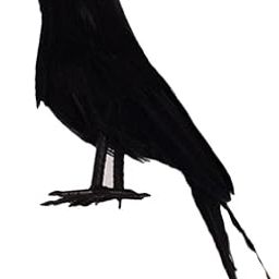Enakshi (LABEL) Black Crow Artificial Bird Prop Garden Ornament Halloween Party Decoration-image-8