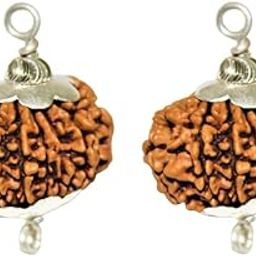 6 Mukhi Rudraksha Original Certified By Lab Chhah Mukhi Rudraksha Blessed By Lord Kartikey 6 મુખી રુદ્રાક્ષ Buy 1 Six Mukhi Rudraksh Get One छह मुखी रुद्राक्ष 6 मुखी रुद्राक्ष-image-74
