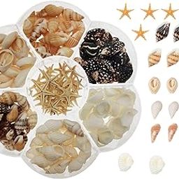 yaokan 1 Box Mini Small Seashell Natural Sea Shells Clam Starfish for Resin Jewelry Making DIY Craft Home Decor Vase Fillers Candle Making-image-39