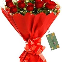 Fresh Flower Bouquet of 08 Red Roses in Paper Packing-image-86