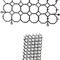 LOOM TREE 2Pieces Garden Anti Cat Dog Animal Repellent Deterrent Indoor Outdoor | Other Weed & Pest Control-image-12
