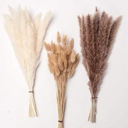 DY SAAZ 60 Pcs Dried Pampas Grass Decor - Pampas Grass for Flower Arrangements Boho Decor Bulk for Wedding Centerpieces Living Room Decorations Dinner Party Decor-image-13