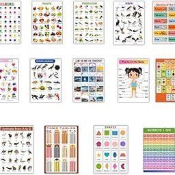 Keitherns Set of 14 Laminated A3 Educational Posters for Kids - Early Learning Charts for Preschool & Nursery - Alphabet, Numbers, Shapes, Fruits, Animals & More - Waterproof & Tear-Resistant-image-43