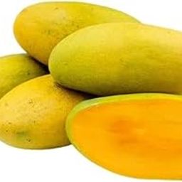 Fresh Mango Dasheri, 1kg-image-46
