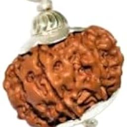 Dine Gems Brahma Rudraksha 4 Faced Rudraksha Original Rudraksha Chaar Mukhi Rudraksha 4 Mukhi Rudraksha Original Certified Nepal Four Faced Rudraksha Real Char Mukhi Rudraksha-picture-2
