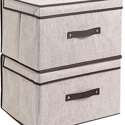 HomeStorie Clothes Organizer for Wardrobe Storage Boxes, Pack of 2, 40x30x25 cm (AR-2551-BR*2, Brown, Fabric)-image-23
