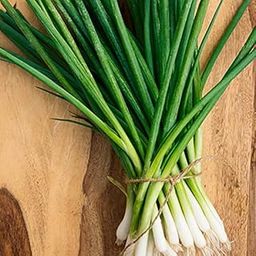 Bunching onion_Vegetable_Pack of 20 seeds-image-102