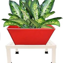 NAYAB Square Floor Plant Stand – Heavy Duty Iron Planter Rack for Single Pot, Perfect for Indoor, Outdoor, Balcony & Garden Corner (Ivory With Pot, Set of 1)-image-1
