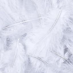 Richa Home Decor Natural Dyed Feather for Dream Catcher, mask Decor, Hanging Ornaments Decor, Small and Soft Quality for Crafts and Other Works 150 Pc's (White)-image-85