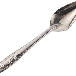 Birds Handfeeding Spoon 12 cms Stainless Steel for Pet Baby Bird Food & Water Feeding (Pack of 1)-image-52