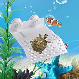 Western Era Platform Basking with Food Bowl & Suction Cup for Turtle, Reptile, Aquarium, Small Amphibians (Large Size)-image-35