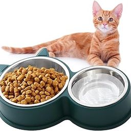 PetVogue Double Stainless Steel Cat Bowl for Small and Large Dogs and Cats Feeders and Drinkers for Cats, Puppy (Green)-26