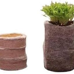 Coco Jiffy Plug pellets Seed Sowing Media For Germination 100% Biodegradable 42 mm (Pack of 20)-picture-18