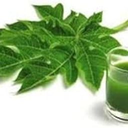 Natural Papaya Leaf Extract, 7 Health Benefits, Supports Immunity, Digestion and Liver Health,Skin care,100gram Fresh Natural Leaf-image-48