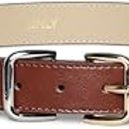 only Women's Solid Brown Belt-picture-23