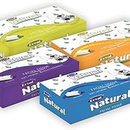 ROYAL NATURAL 2 Ply Facial Tissue Box Soft And Highly Absorbent | 100% Natural Virgin Cellulose Fiber (Pack of 4)-image-42