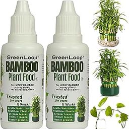 GreenLoop - Bamboo Plant Food (& for Money Plants) - Liquid Food for Aquatic Plants (in Water), Two Bottles, Each 30 ml.-10