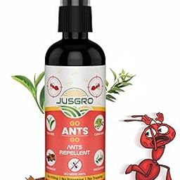 Ant Repellent Killer Spray For Home - 100 ML | Made WIth Cinnamon, Peppermint & Citronell Oils | Easy To Use-23