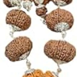 1 to 21 Mukhi Rudraksha Mala 1 to 21 face Mala Indrani Mala|Indrakshi Mala इन्द्राक्षी माला Holy Natural Rudraksha With Certificate Gauri Shankar Nepali & Ganesh Real & Pure Beads Indraksha Mala 1-21 With Trijuti Nepal 1-21 Mukhi Indrani Mala With Trijuti Indrani Mala wWth Trijuti Gold Capping Indrani Mala With Trijuti 1 से 21 मुखी रुद्राक्ष माला इन्द्राक्षी माला इन्द्राणी माला शाही इन्द्राणी माला 1 21 इन्द्राणी माला इंद्रा माला-7