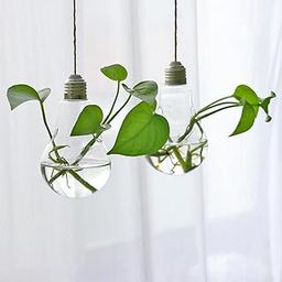 LR Decor E-Shop 2Pcs Clear Glass Bulb Hanging Plant Flower Container Hydroponic Container Bottle-20