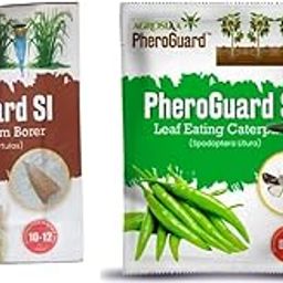 SI Rice Yellow Stem Borer Lure - Scirpophaga Incertulas | Pack of 20 | & | SL Combo Pack Pheromone Lure for Leaf Eating Caterpillar, Funnel Trap, Pack of 20-image-1
