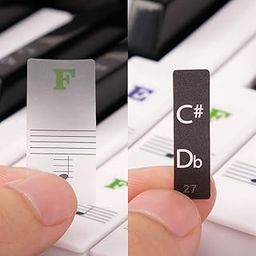 Palap Piano Stickers Labels for 37, 49, 54, 61, 88 Keys Keyboard, Piano Removal Stickers-13