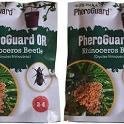 OR Lure for Rhinoceros Beetle - Agriculture Use | 50-60 Days Life | Pack of 5 | & | OR Lure for Rhinoceros Beetle - Agriculture Use | 50-60 Days Life | (Pack of 5)-29