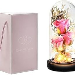 CARTSHOPPER Preserved Flower Gift, Light Up Rose in Glass Dome, Eternal Forever Rose Flower, Mother’s Day, Valentine’s Day, Anniversary, Birthday, Christmas Decorations, Rose Pink-image-79