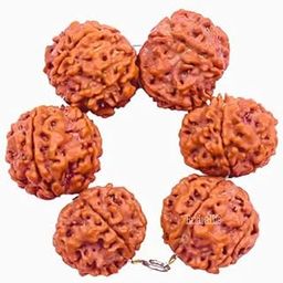 Rudraksha Insomnia Ring – 6 x 5 Mukhi Beads for Sleep Disorders, Calmness & Overthinking Relief | Health, Wealth & Happiness | Ayurvedic Remedy for Insomnia & Healthy Sleep Cycle-image-50