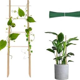 Bamboo Trellis for Climbing Plants 16 Inch 3 Pack Ladder-Shaped Natural Small Bamboo Lattice Mini Wooden Plant Support Trellis Climber for Potted Houseplants Rose Pothos Monstera Indoor Outdoor Garden-10