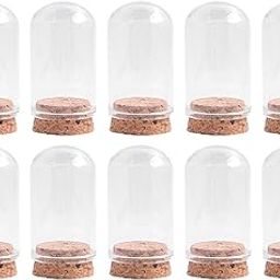 FABLOFT® 10 Pieces Glass Domes Dustproof for Floral Arrangement Flower Storage Plants 30mmx50mm-image-74