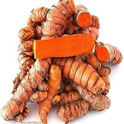 KC ENTERPRISES Haldi Vegetable Curcuma Longa Kachi Fresh Green Turmeric Original Fresh Rhizomes Planting (Turmeric Roots)Turmeric Seeds Or Khachi Haldi (100 Gram) 100% fresh organic khachi haldi seeds-image-2