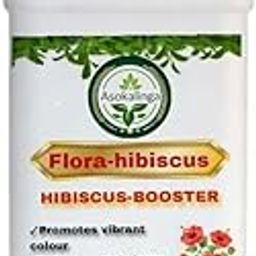 FloraHibiscus -Hibiscus Booster –Specially formulated for Increases Hibiscus yield|Suitable for all varieties| Promotes Healthy Growth, Abundant Blooms & Petal counts -growth regulator-image-15