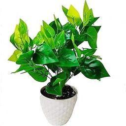 MoneyP1056 Artificial Money Plant with Pot Set of 8 PCS-6