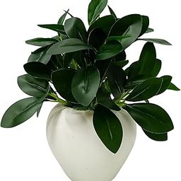 fancymart Plastic Artificial Rubber Plant In 4 Inch White Apple Pot (Height 22 Cm) For Home And Office Decor Plants For Decoration, Realistic Green Decorative For Interior, Evergreen-9