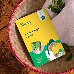Exotic Pak Choi Seeds for Home Kitchen and Vegetable Gardening, Pack Of 1gm, Best in Germination.-image-101