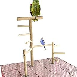 KSK Jumbo 16 Inches / 40.5 cm Two Levels Training Gym Cum Exercise Stand with 6 Stairs Natural Wood Playful Perch Bird Stand/Bird Toy-image-95