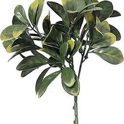 ENUTROF Artificial Plants Branches for Home, Office & Event Decoration, Wall & Balcony Decoration, Bayberry, Pack of 1-image-76