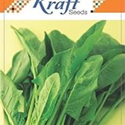 Kraft Seeds Vegetable Spinach Seeds for Home Garden (1 Packet, 6gm) Leafy Winter Vegetable Seeds for Home Gardening | Fresh Gardening Vegetable Planting Seeds for Kitchen | Green Palak Leaves Seeds-13