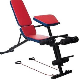 IRIS 35-in-1 Ergonomically Designed Weight Bench for Full Body Workout Roman Chair Adjustable Incline Decline Flat Bench-image-83