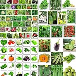 All use combo vegetable seeds beez Exotic Hybrid vegetable seeds Mix organic vegetable seeds 100-image-35