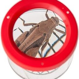 Eisco Bug Viewer Magnifier for Kids (Pack of 4) Insect Catcher Toy with Magnifying Lens, STEM Science Kit for Outdoor Exploration, Nature Discovery, Learning, Entomology & Camping Fun-20