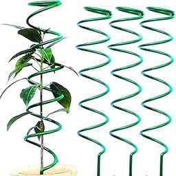 Trelliskart Plant Support Stakes Spiral Stick Climbing Plant Stake Tower for Money Plant, Plant Supports Garden Trellis Plant Stick- Set of 3, Green Color-image-8